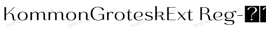 KommonGroteskExt Reg字体转换 KommonGroteskExt Reg字体转换
